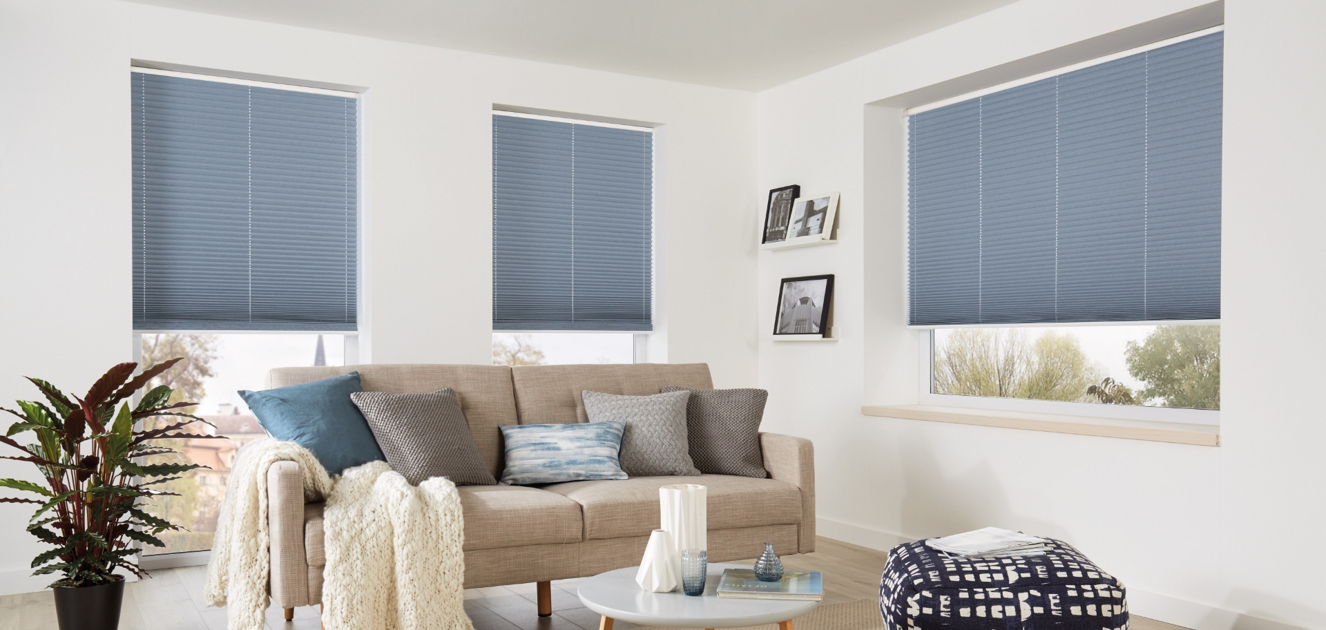 Pleated Blinds