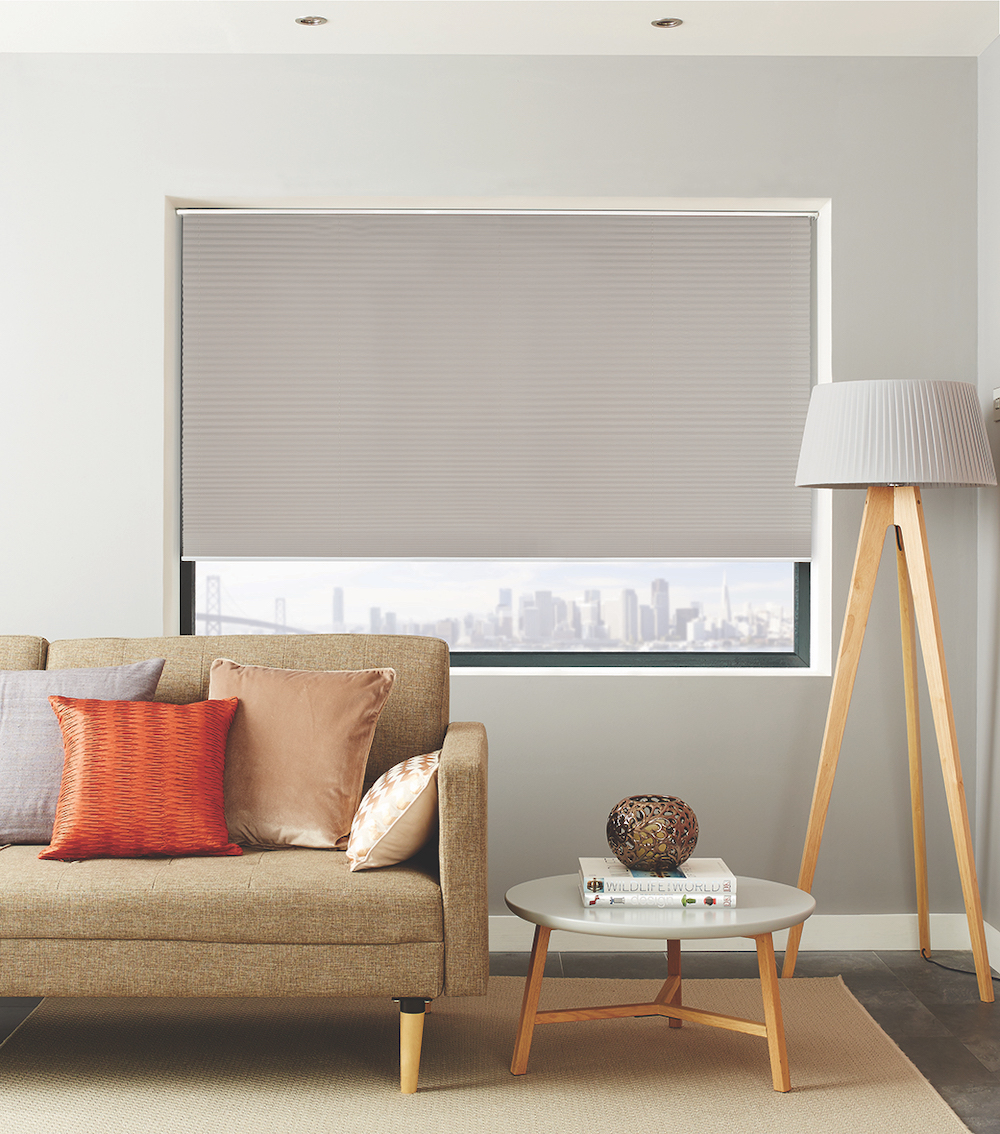 pleated living room blinds