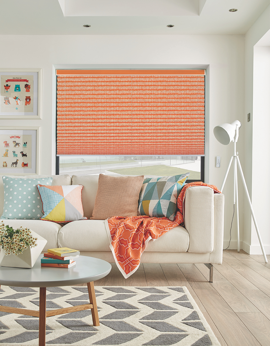 coloured pleated blinds