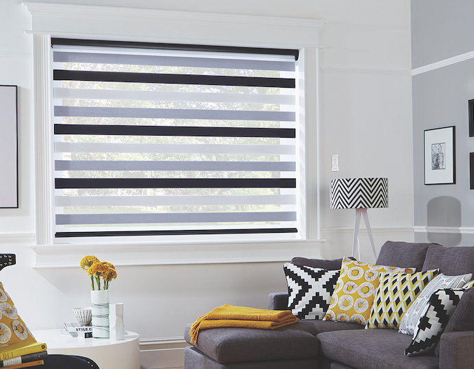 Motorised Vision Blinds