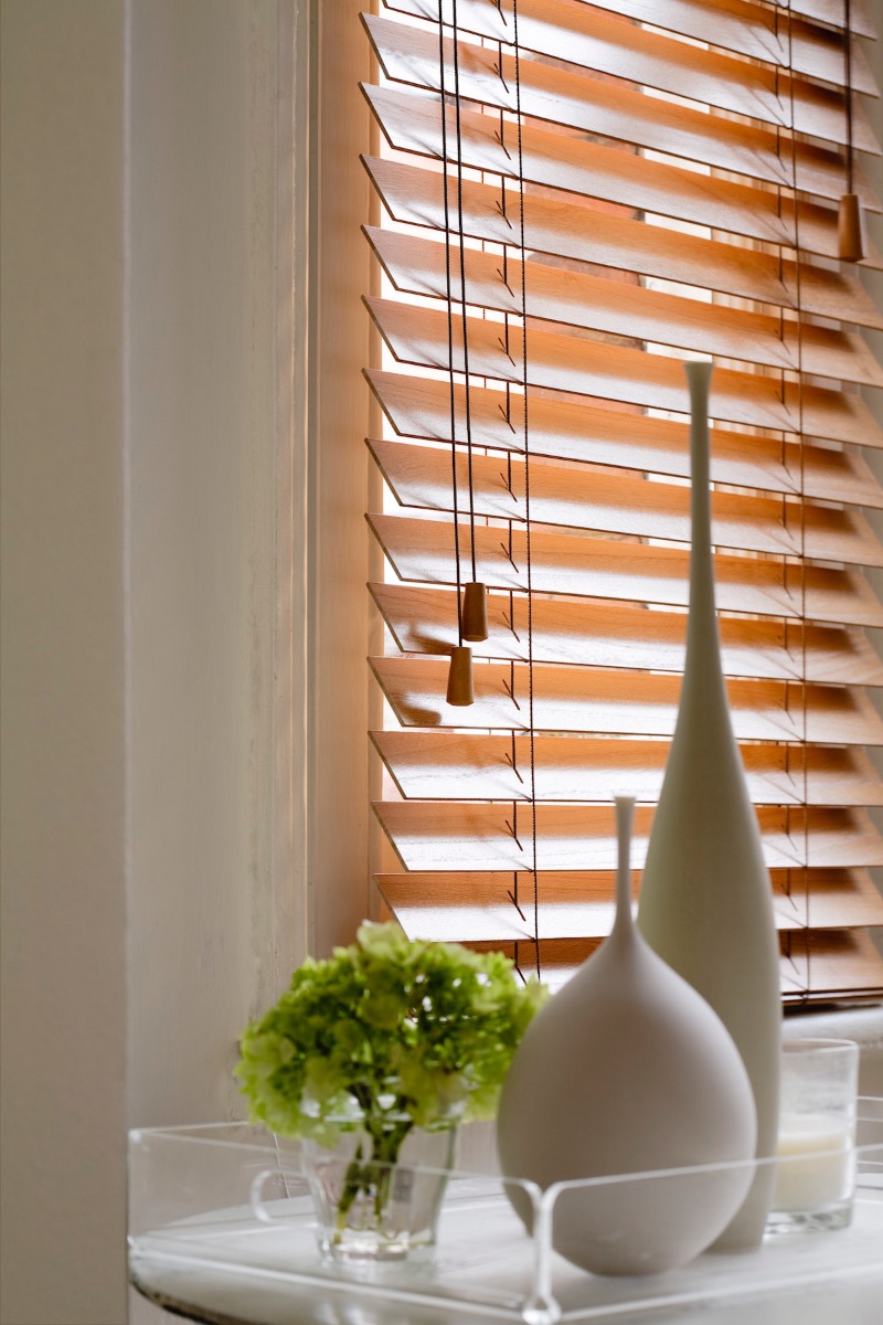 Vertical blinds for privacy