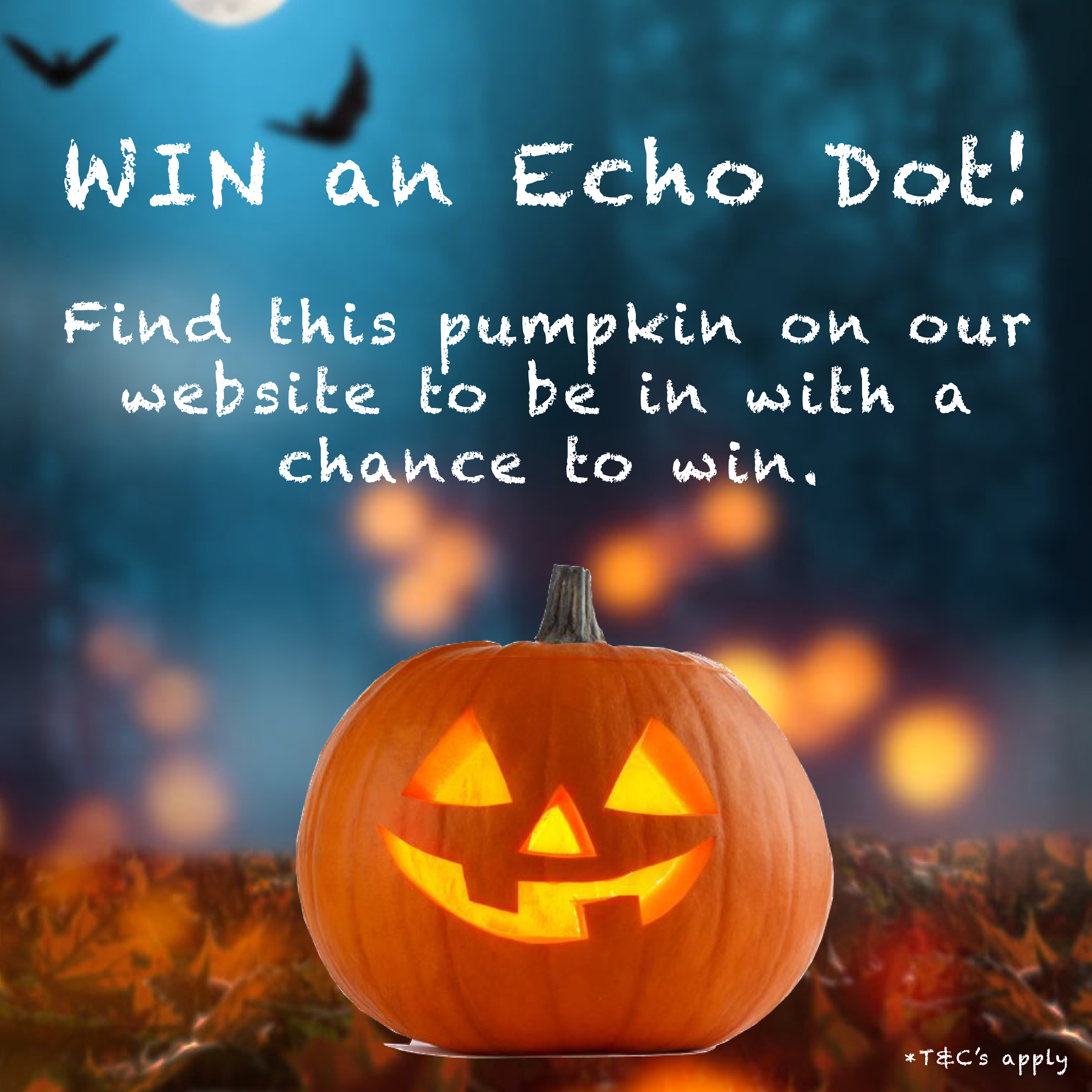 Win an Echo Dot!